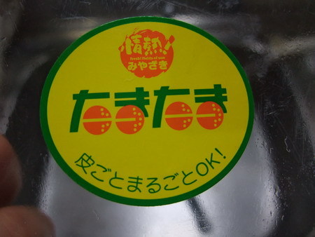 񂩂Q.jpg