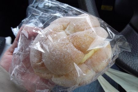 ちゃちゃぷうま3.jpg