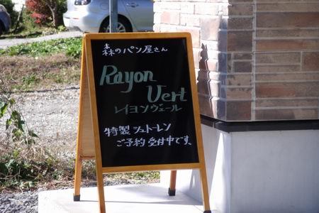 レイヨン1.jpg
